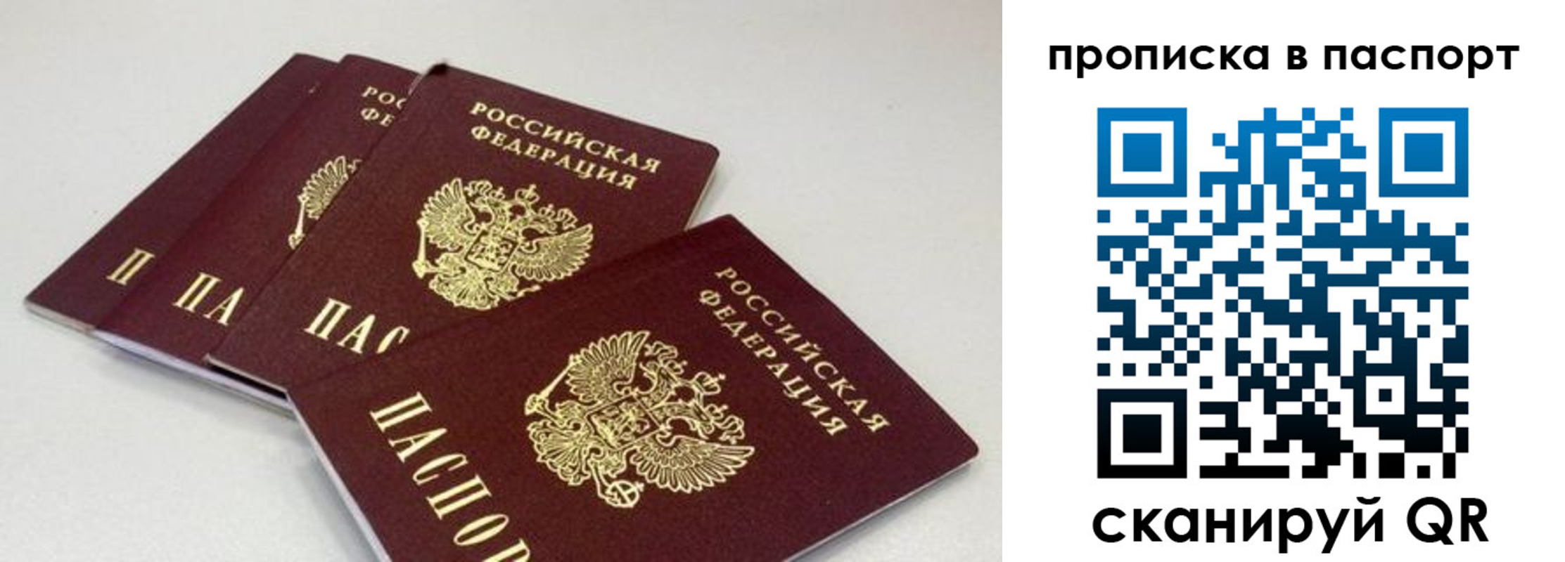 найти адрес прописки в Лосино-Петровском